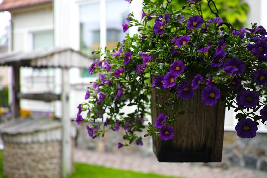 Adomo Rojus Apartment Palanga Exterior photo